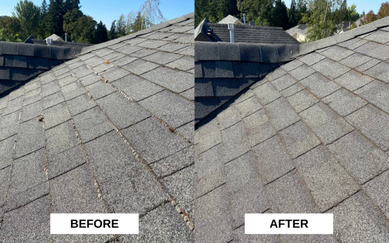 Roof Cleaning in Beaverton Oregon Before & After