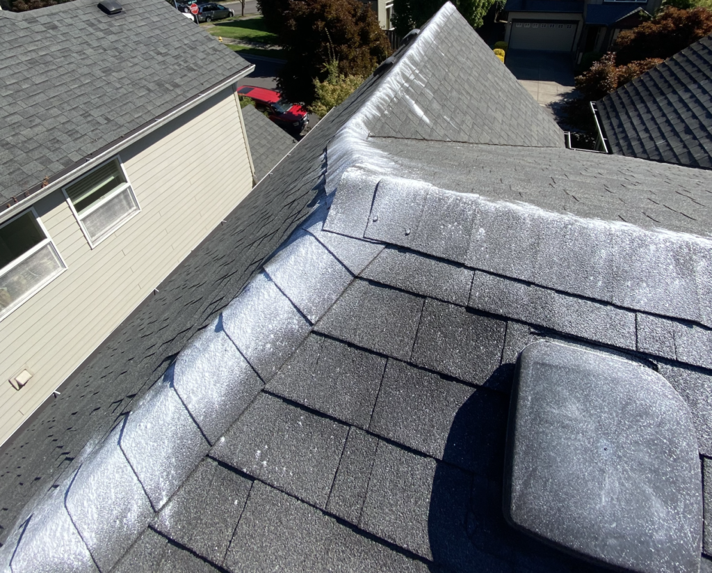 Roof Cleaning in Beaverton, OR